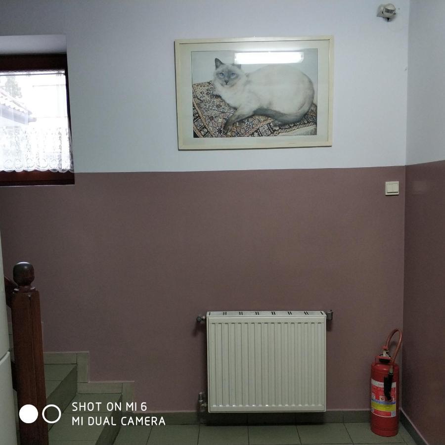 Pokoje Goscinne Sonia Tuszyn Bagian luar foto